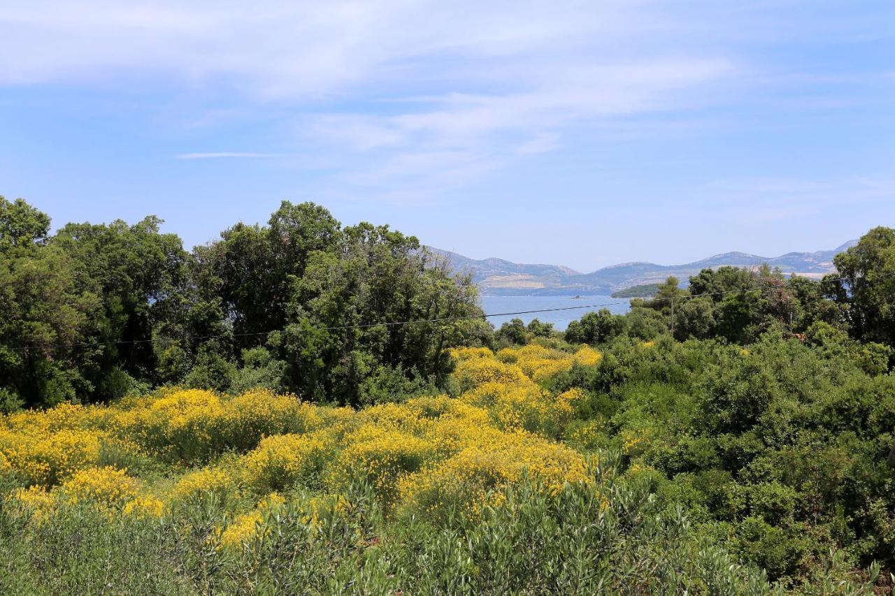 Apartments By The Sea Drace, Peljesac - 10127 Εξωτερικό φωτογραφία