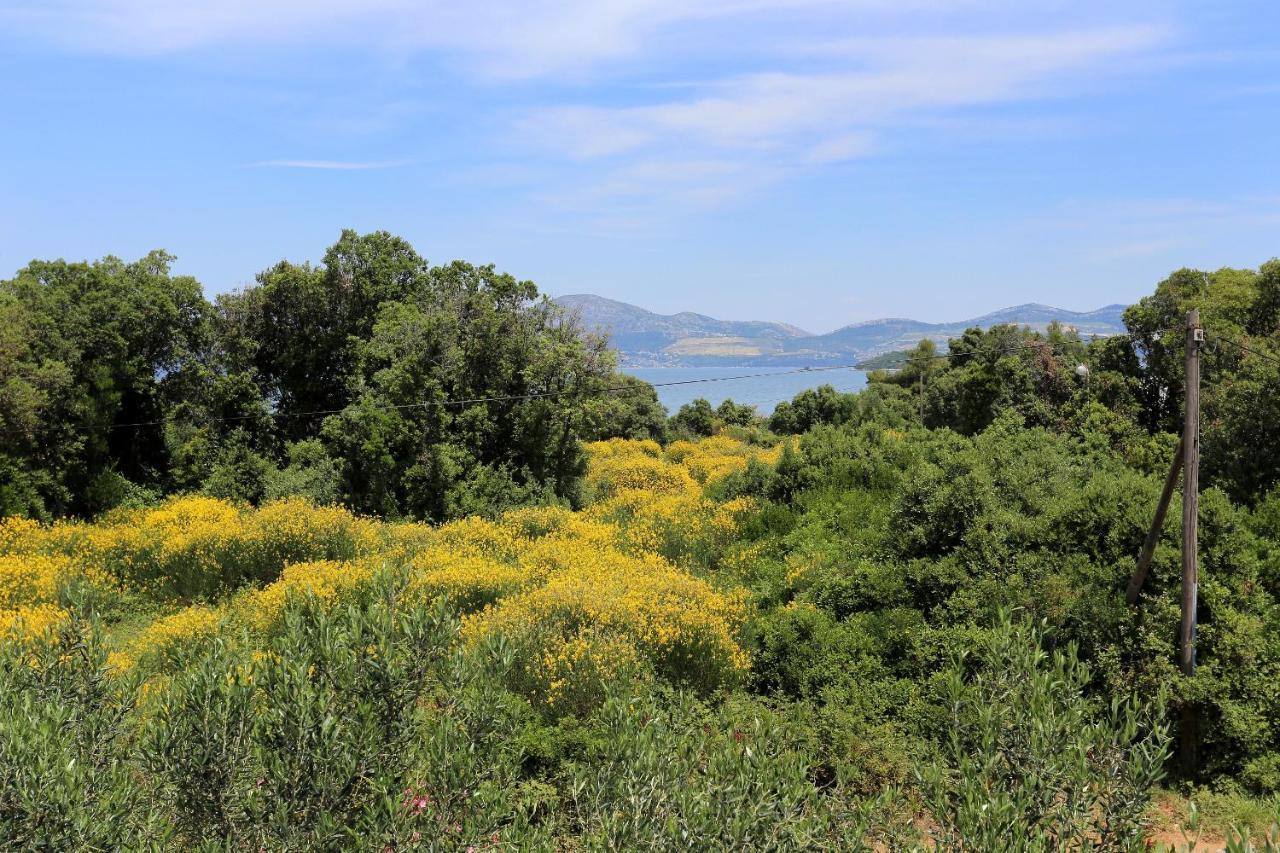 Apartments By The Sea Drace, Peljesac - 10127 Εξωτερικό φωτογραφία